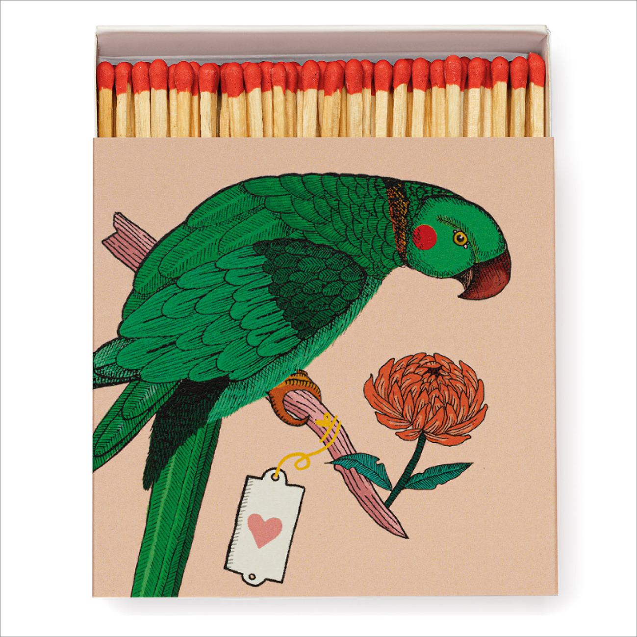Archivist Matches - in Letterpress Box