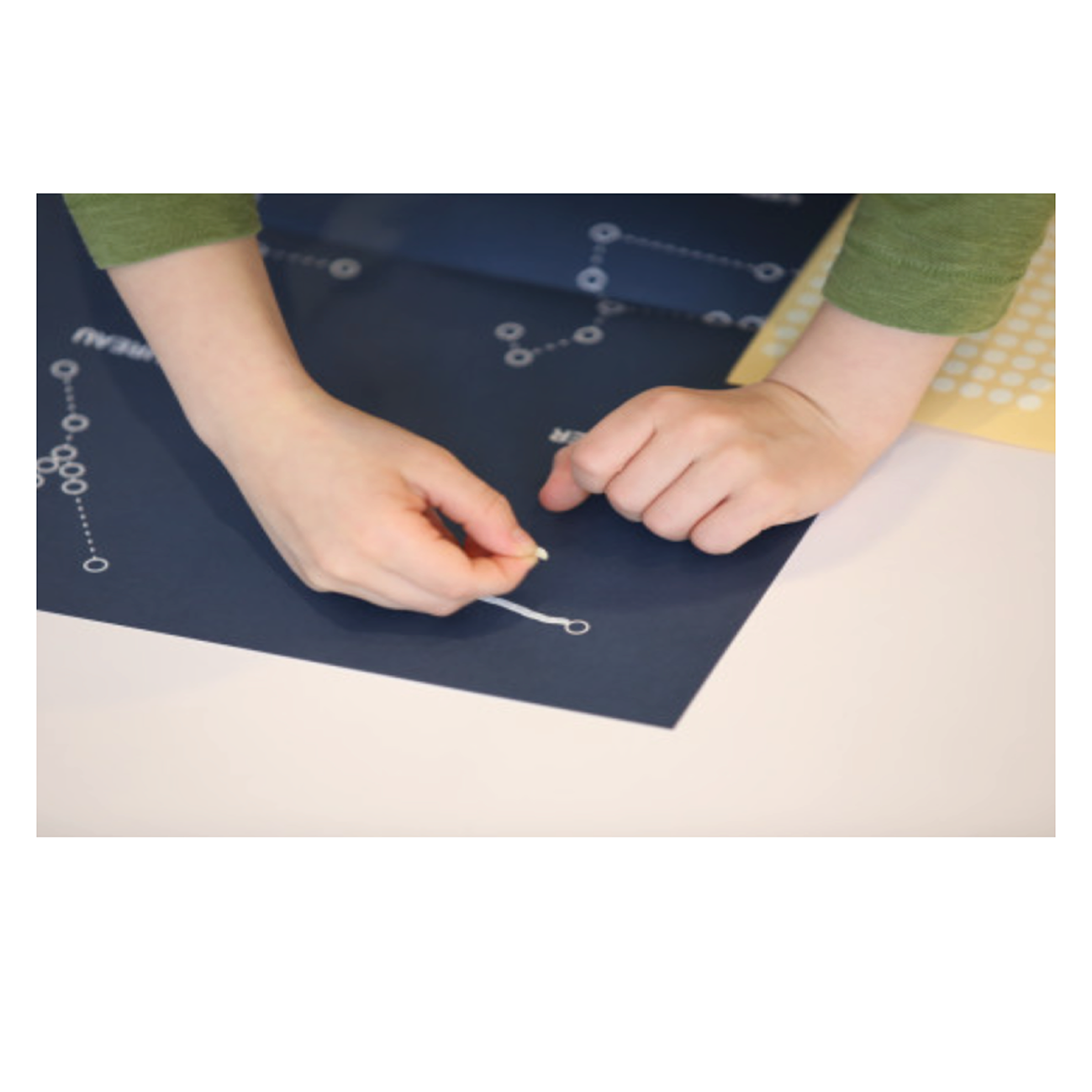 Koa Koa Kit - Constellation Poster