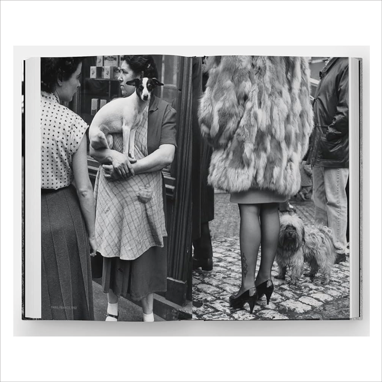 Dogdogs - Elliot Erwitt