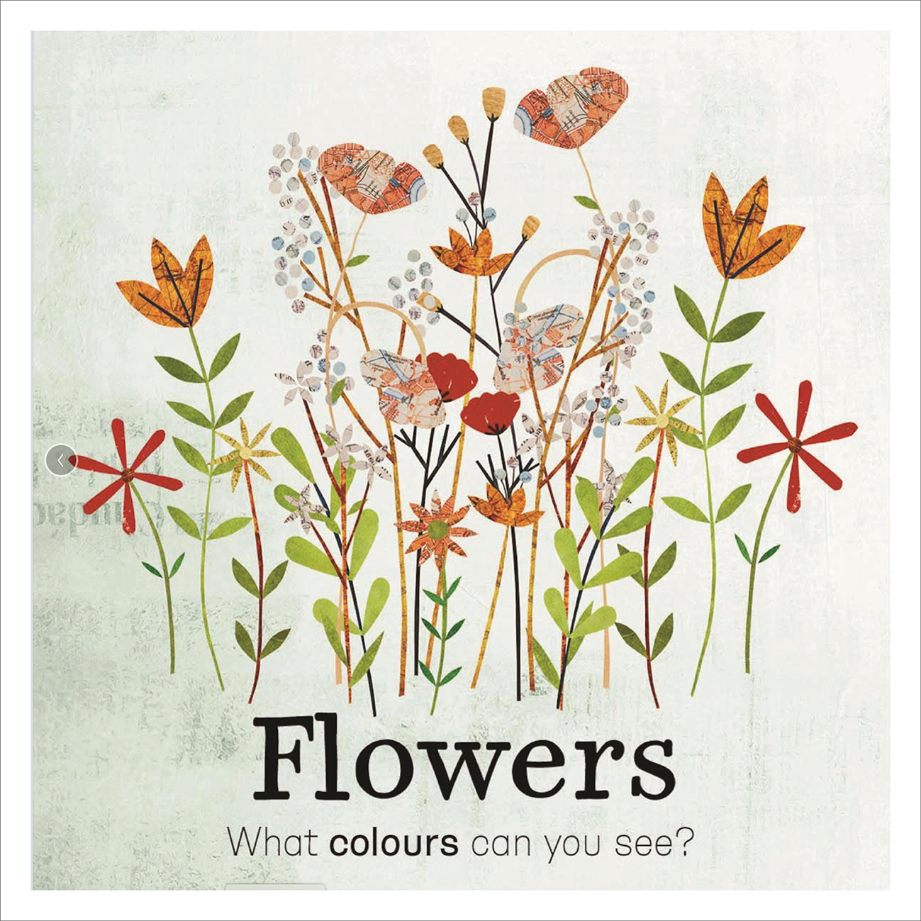 My First Book of Nature - Isobel Lundie