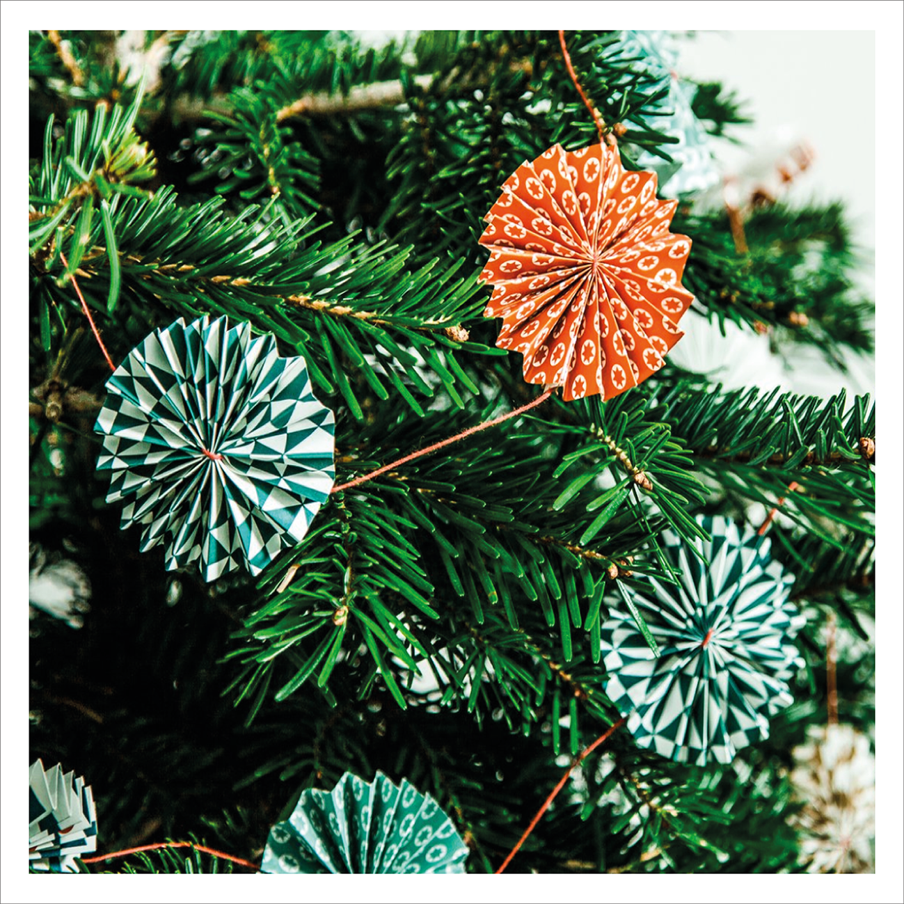 Ola - Paper Rosette Garland Kit