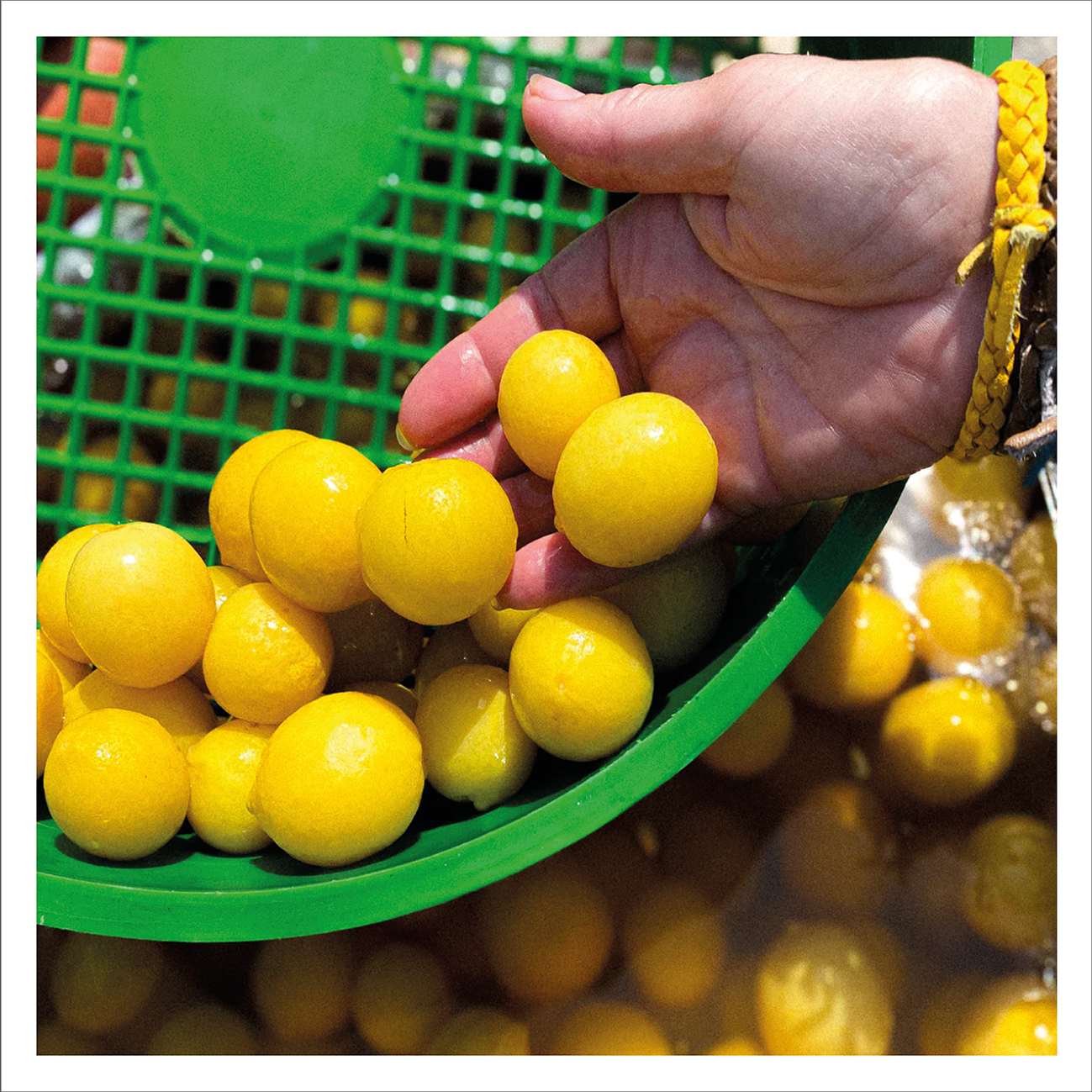 Olives et Al - Preserved Baby Lemons