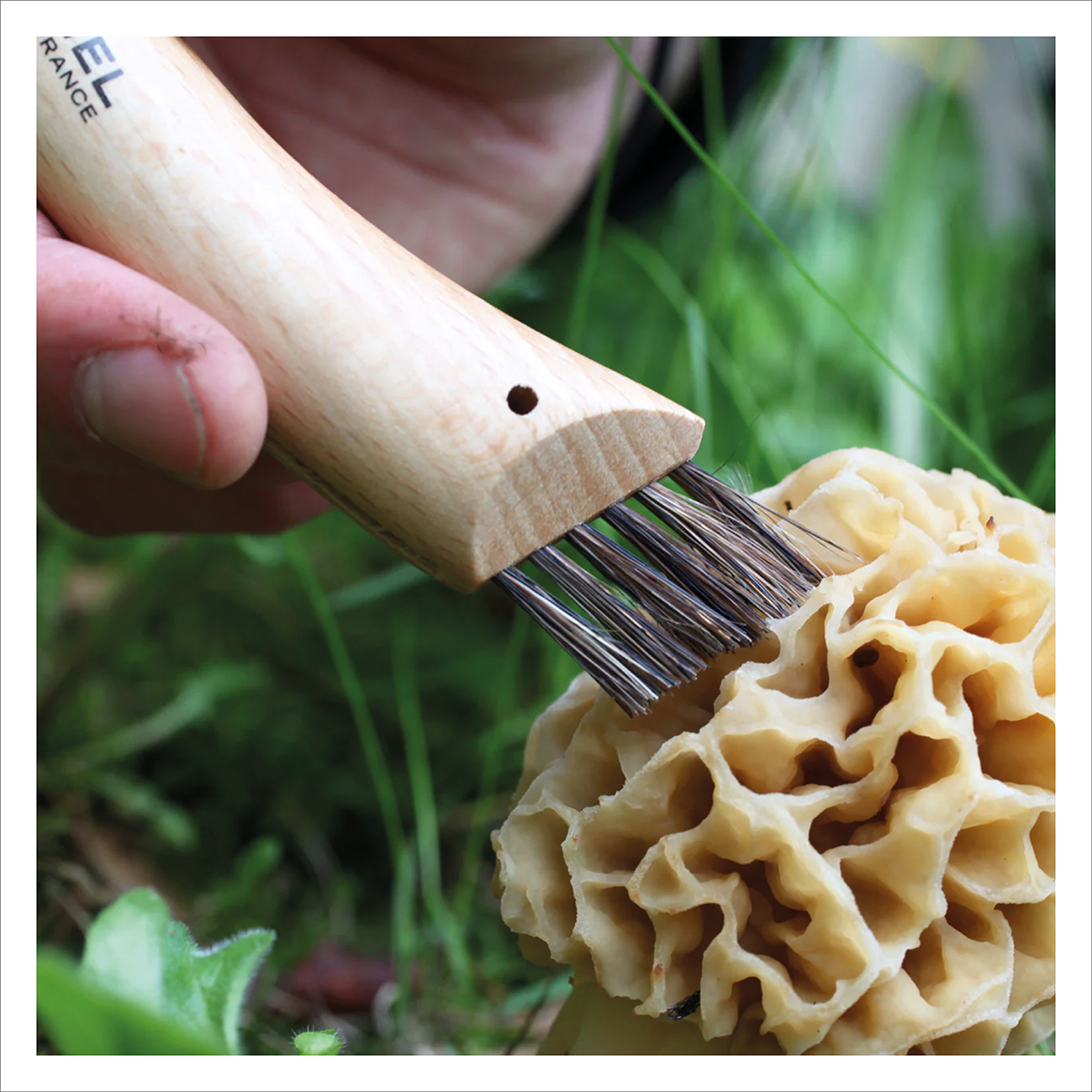 Opinel #8 Mushroom Knife