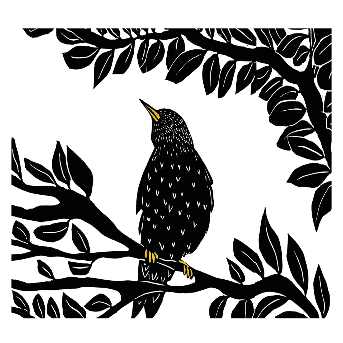 The Starlings Song - Octavia Wolters