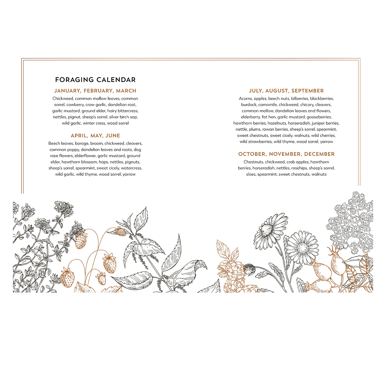 Hedgerow Apothecary - Foragers Handbook