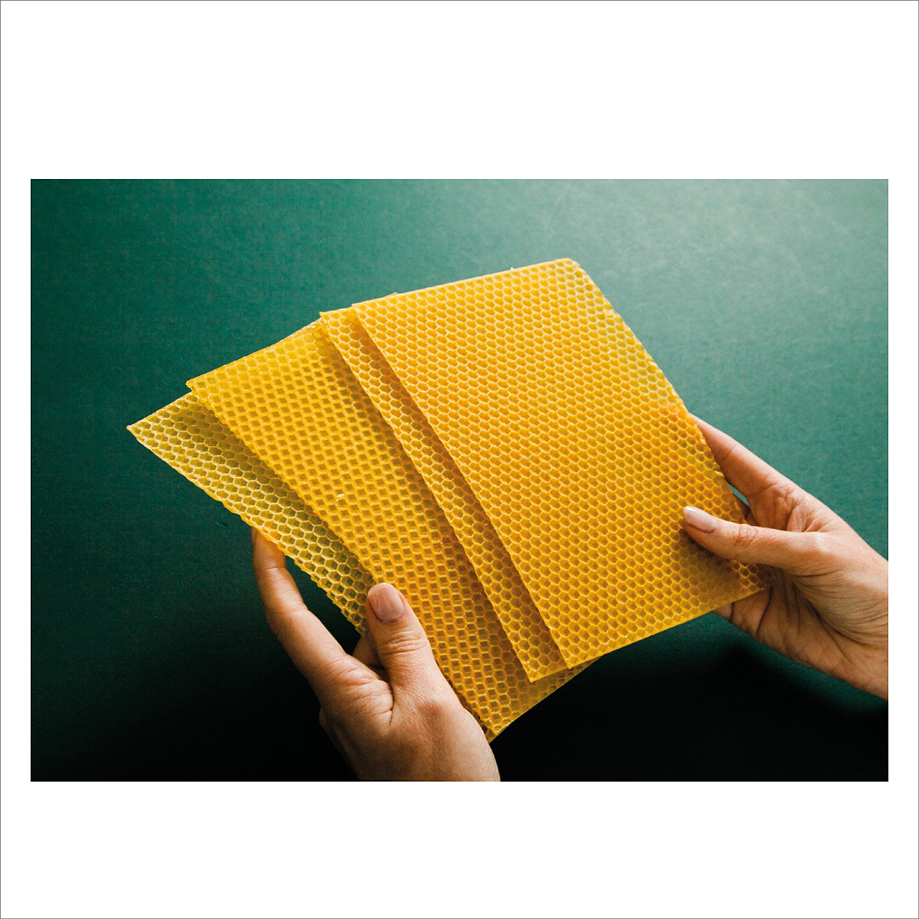 Ola - Beeswax Candle Making Kit