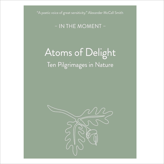 Atoms of Delight - Kenneth Stevens