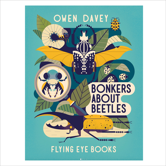 Bonkers About Beetles - Owen Davey