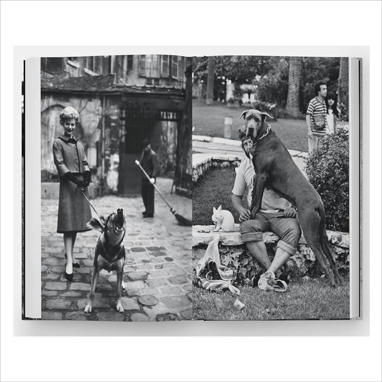 Dogdogs - Elliot Erwitt