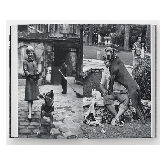 Dogdogs - Elliot Erwitt