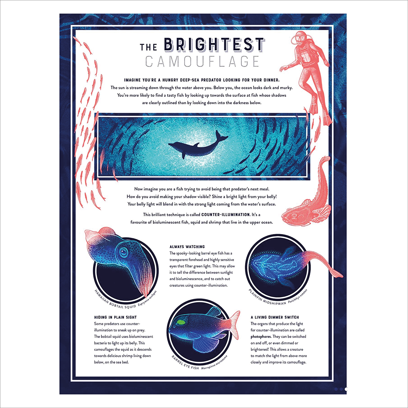 Glow: The Wild Wonders of Bioluminescence (HB) - Jennifer NR Smith