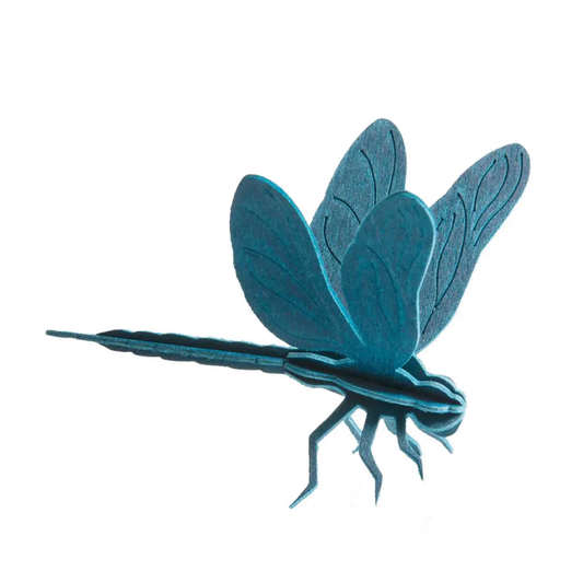 Lovi Polar Dragon Fly -  Blue