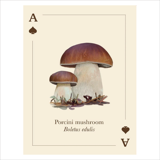 Mushrooms of the Wild - Playing Cards