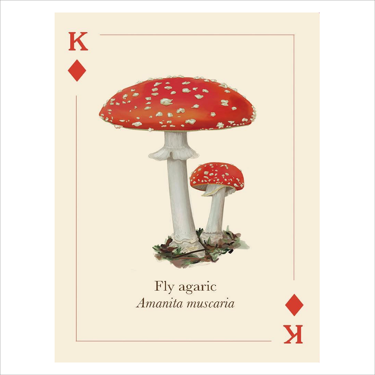 Mushrooms of the Wild - Playing Cards