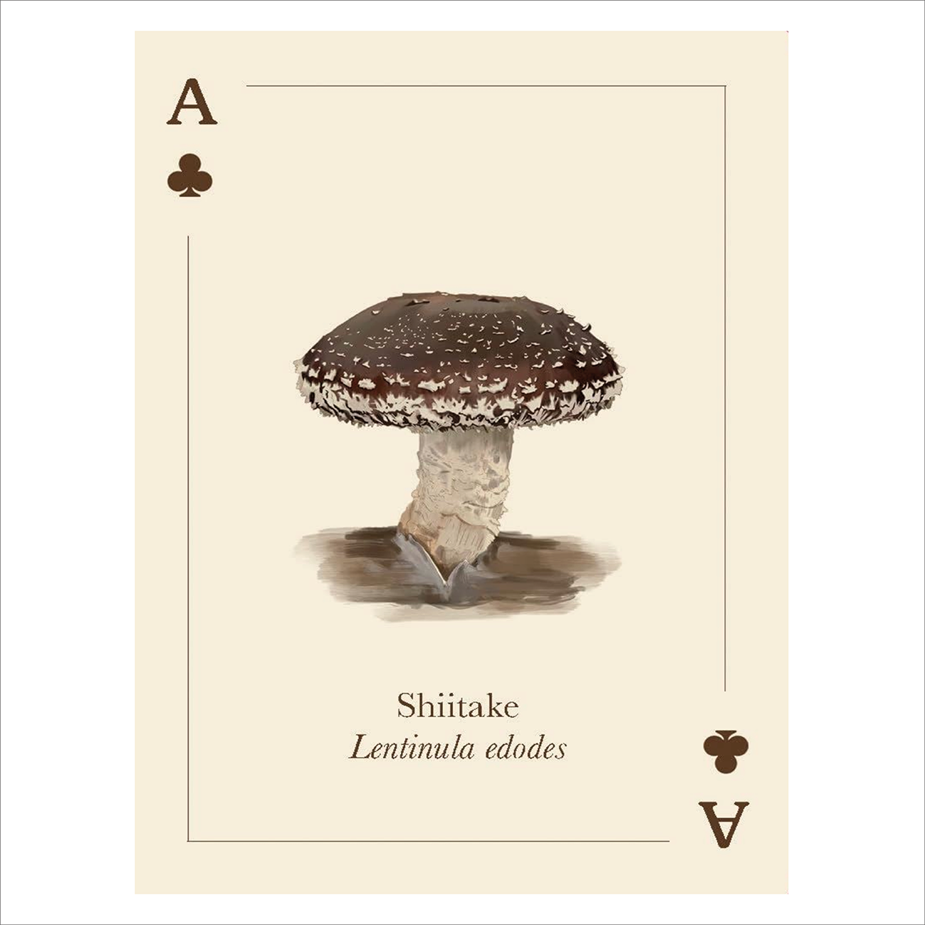Mushrooms of the Wild - Playing Cards