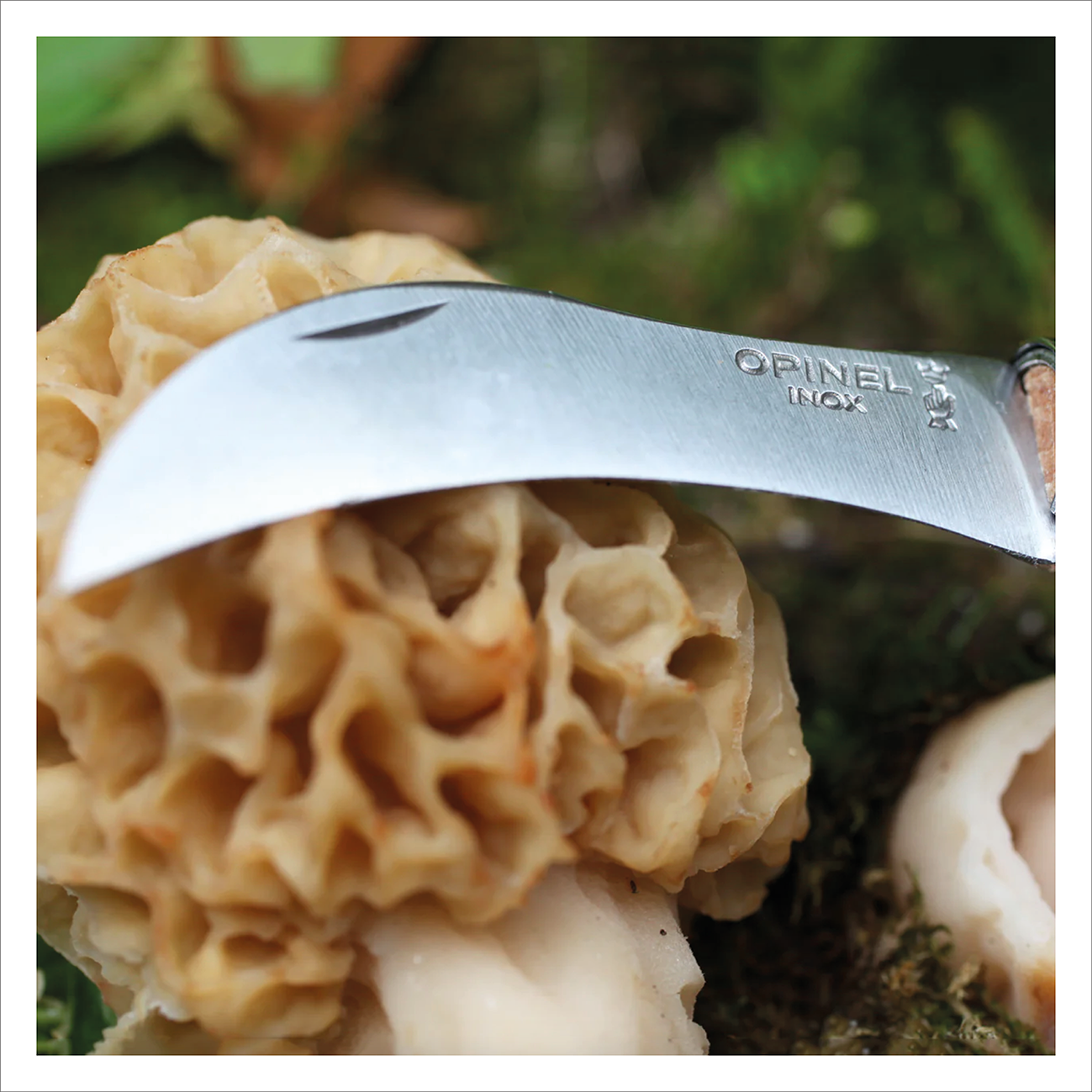 Opinel #8 Mushroom Knife