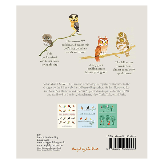 Owls - Matt Sewell
