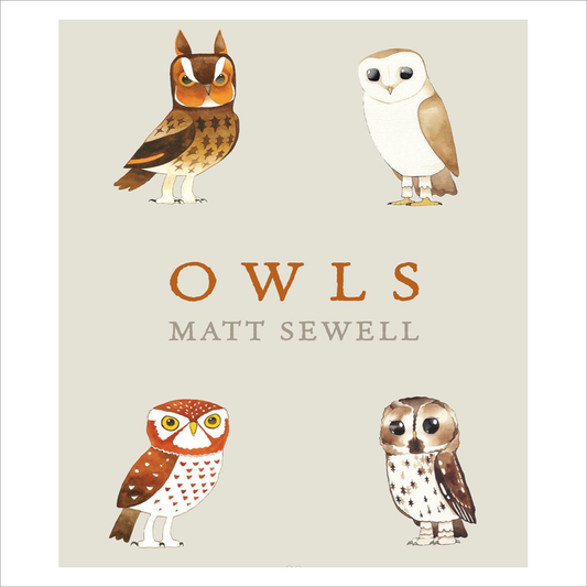 Owls - Matt Sewell