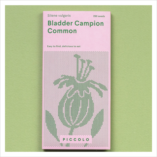 Piccolo - Bladder Campion