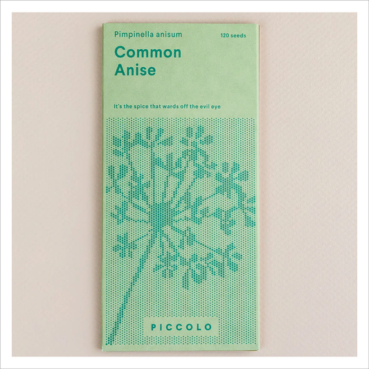 Piccolo - Common Anise