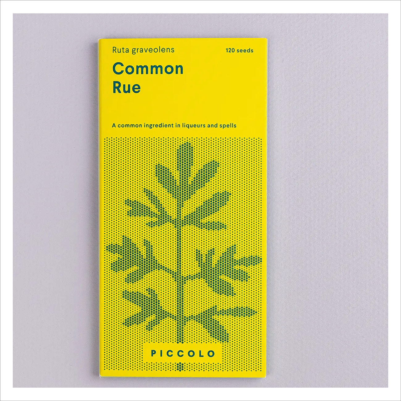 Piccolo - Common Rue