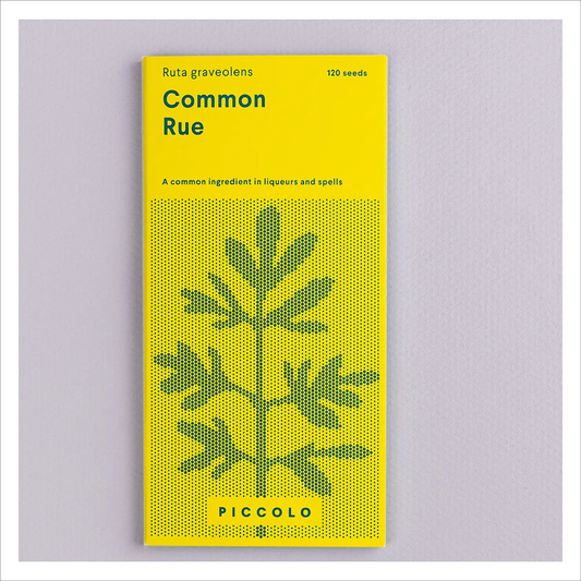 Piccolo - Common Rue
