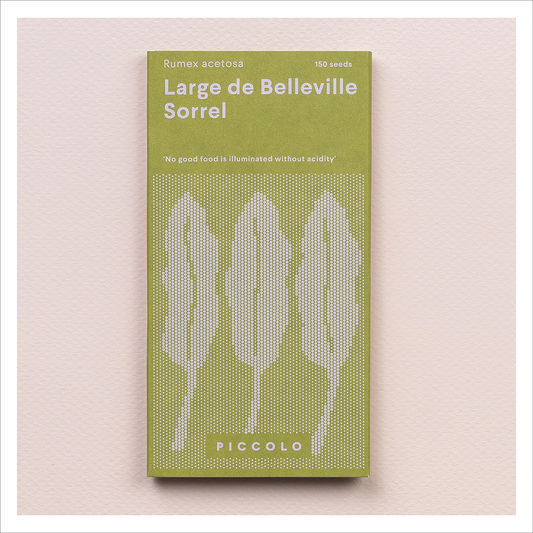 Piccolo - Sorrell