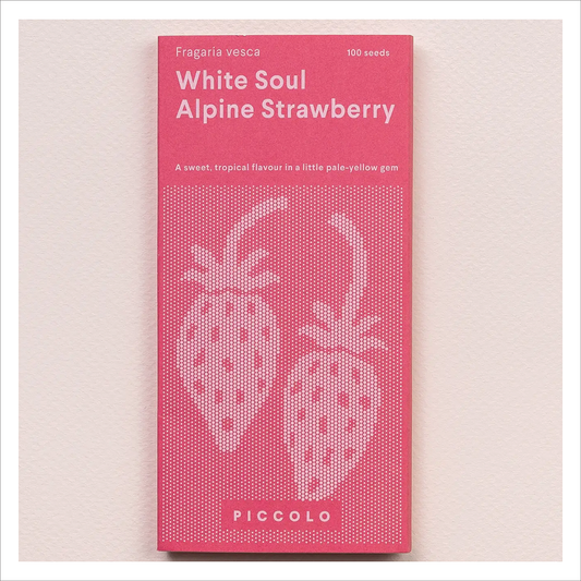 Piccolo - White Soul Alpine Strawberry