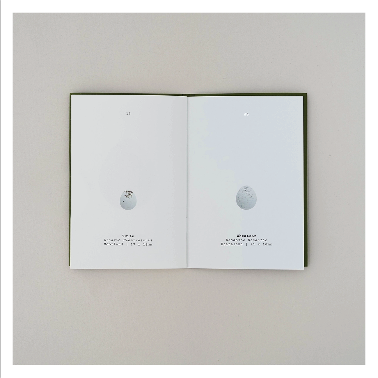 Ploterre - An Observers  Book of Bird Eggs