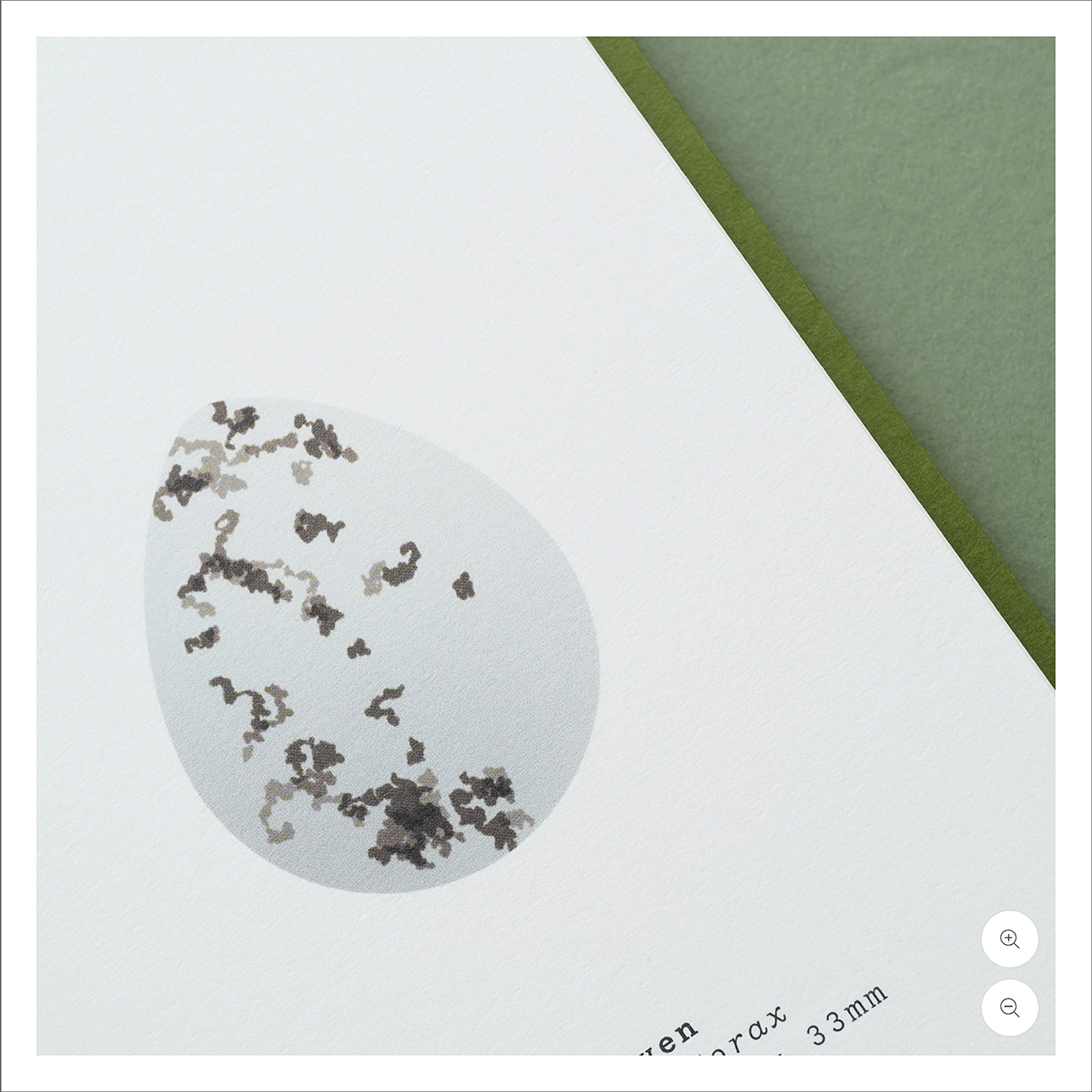 Ploterre - An Observers  Book of Bird Eggs