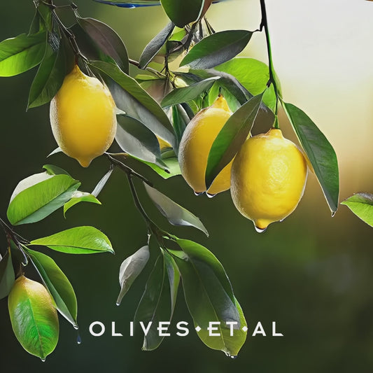 Olives et Al  - Preserved Baby Lemons