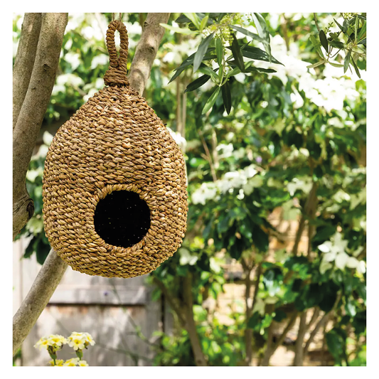 Seagrass Bird House