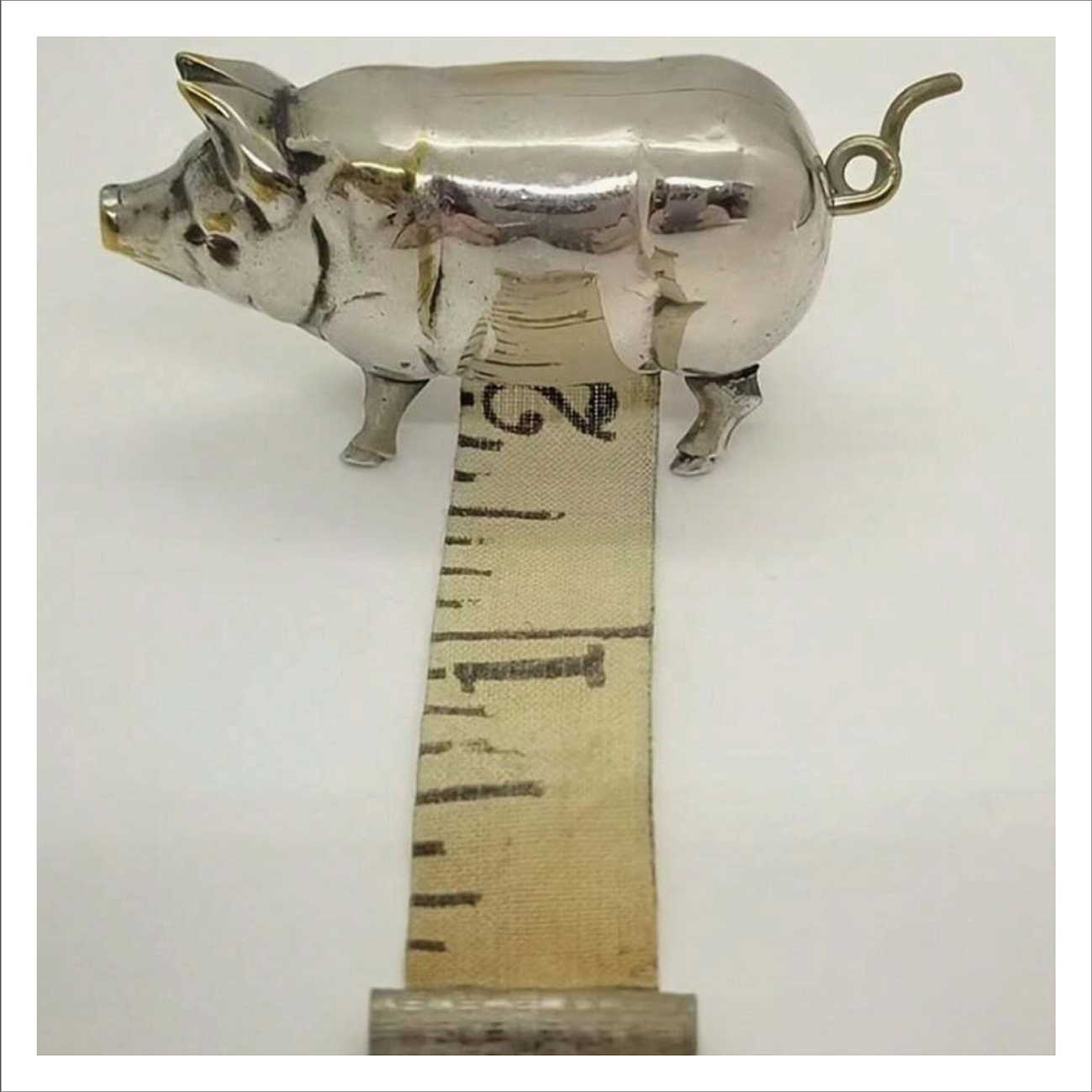 Silver Pig Tape Measure