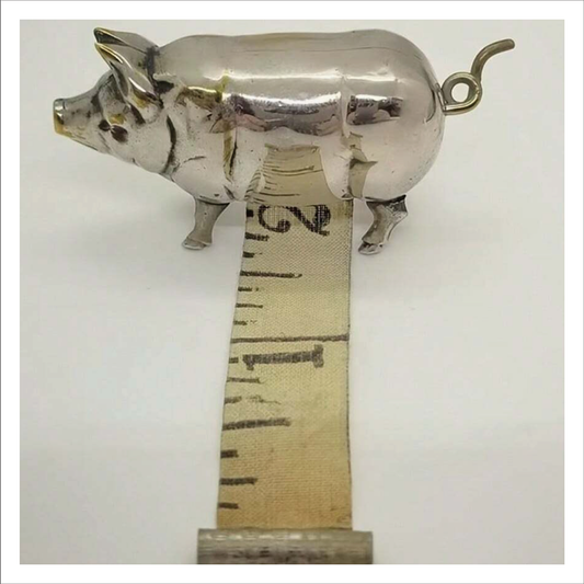 Silver Pig Tape Measure
