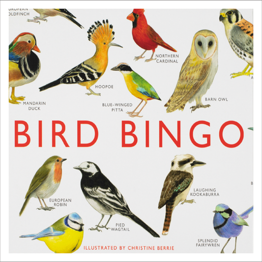 Bird Bingo