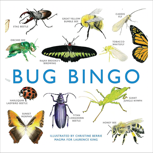 Bug Bingo