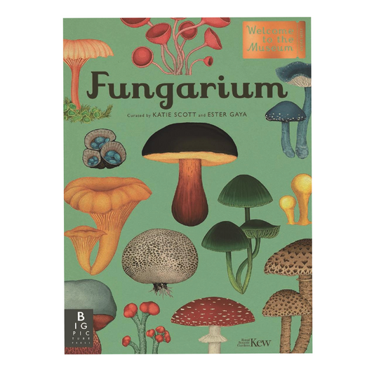 Fungarium - Ester Gaya